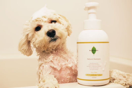 WAFONA Natural Shampoo 500ml