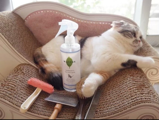 WAFONA All in one Spray Cat