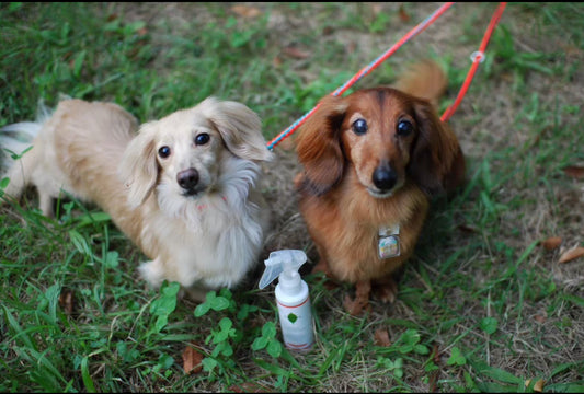 WAFONA Outdoor Body Care Spray 120ml