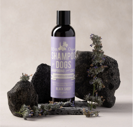 BLACK SHEEP ORGANICS LAVENDER & GERANIUM DOG SHAMPOO