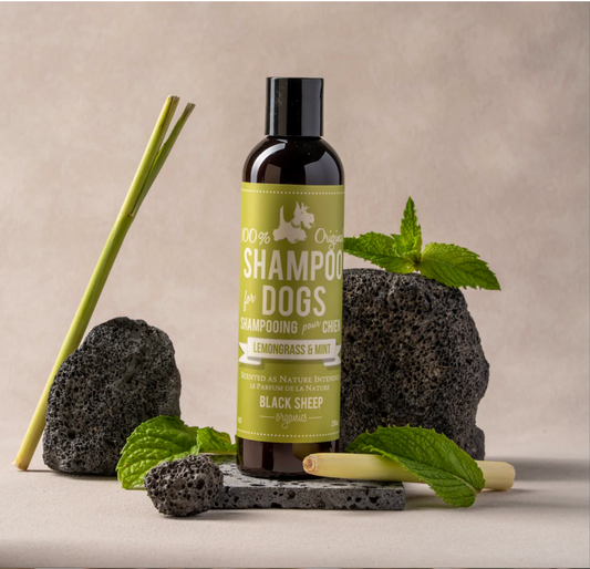 BLACK SHEEP ORGANICS LEMONGRASS & MINT DOG SHAMPOO