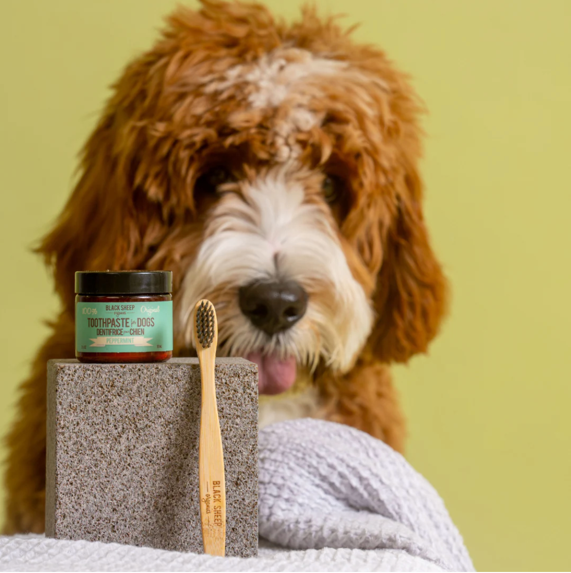BLACK SHEEP ORGANICS TOOTHPASTE FOR DOGS