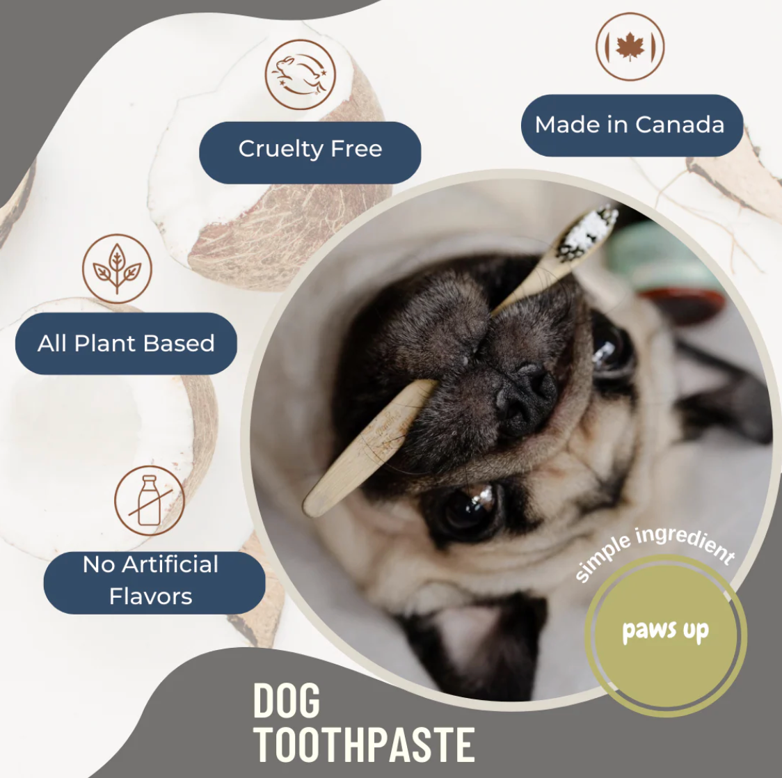 BLACK SHEEP ORGANICS TOOTHPASTE FOR DOGS