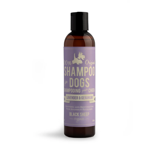 BLACK SHEEP ORGANICS LAVENDER & GERANIUM DOG SHAMPOO