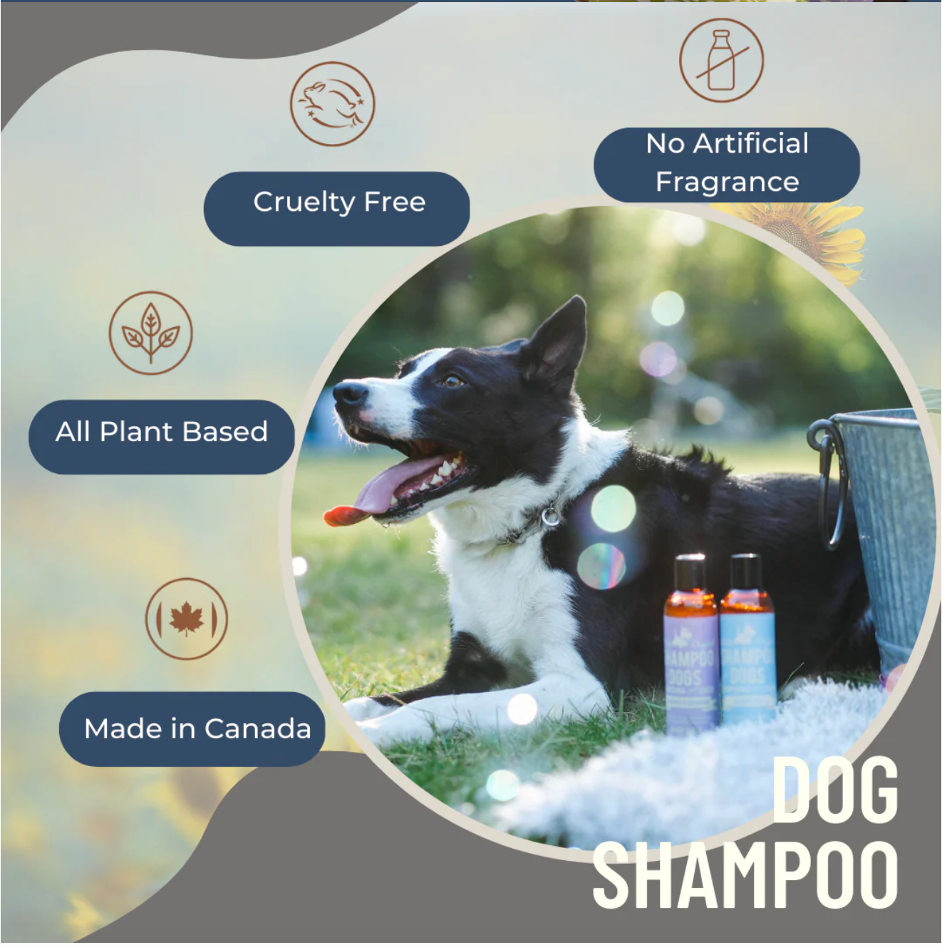BLACK SHEEP ORGANICS LAVENDER & GERANIUM DOG SHAMPOO
