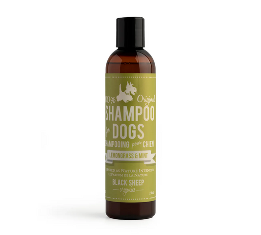 BLACK SHEEP ORGANICS LEMONGRASS & MINT DOG SHAMPOO
