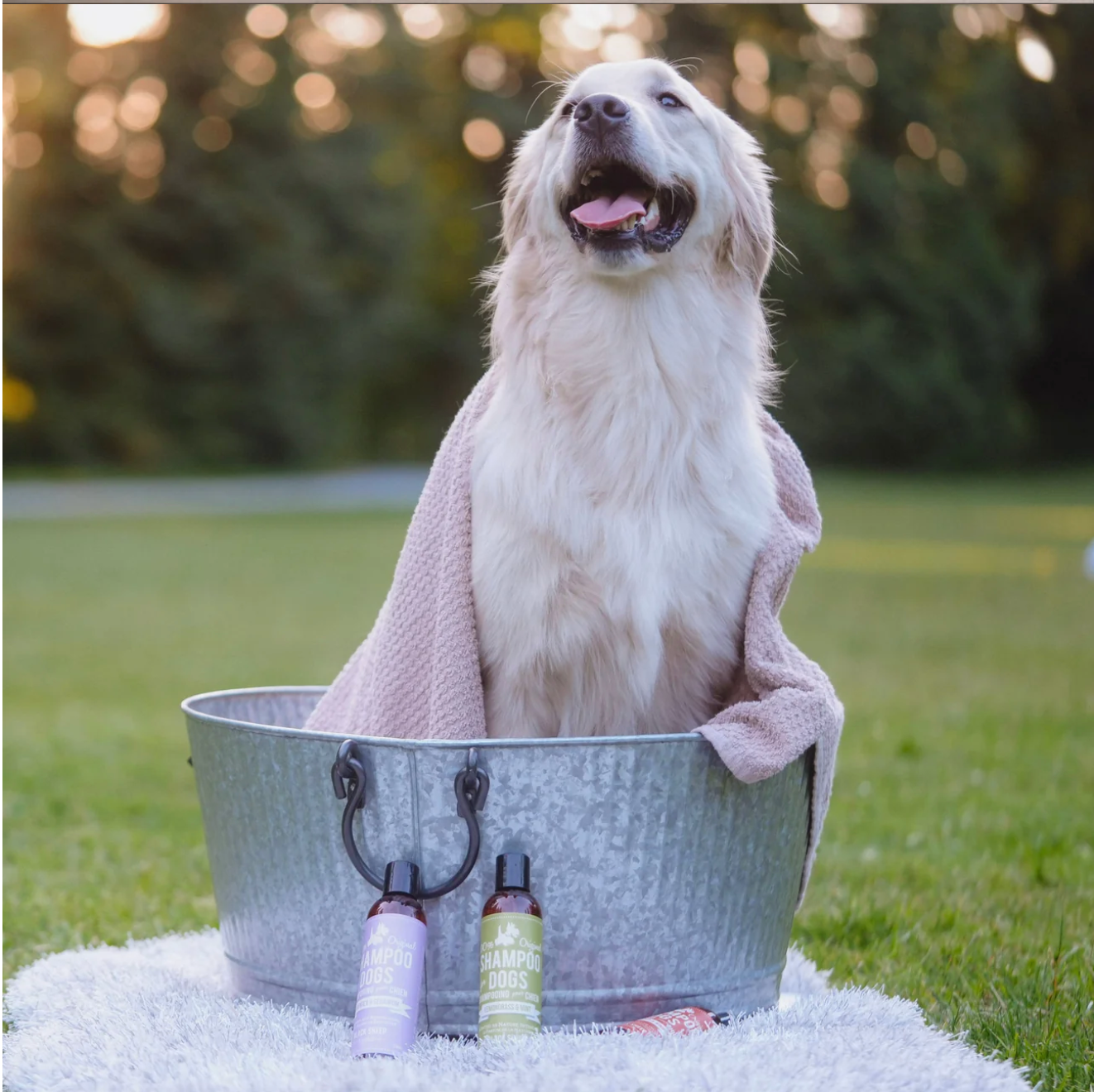 BLACK SHEEP ORGANICS LEMONGRASS & MINT DOG SHAMPOO