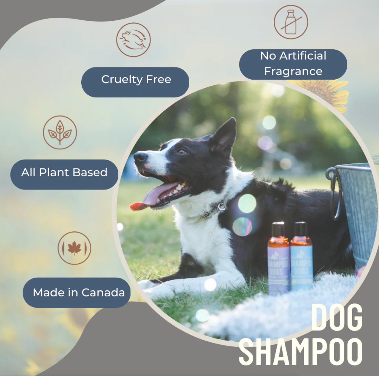BLACK SHEEP ORGANICS LEMONGRASS & MINT DOG SHAMPOO