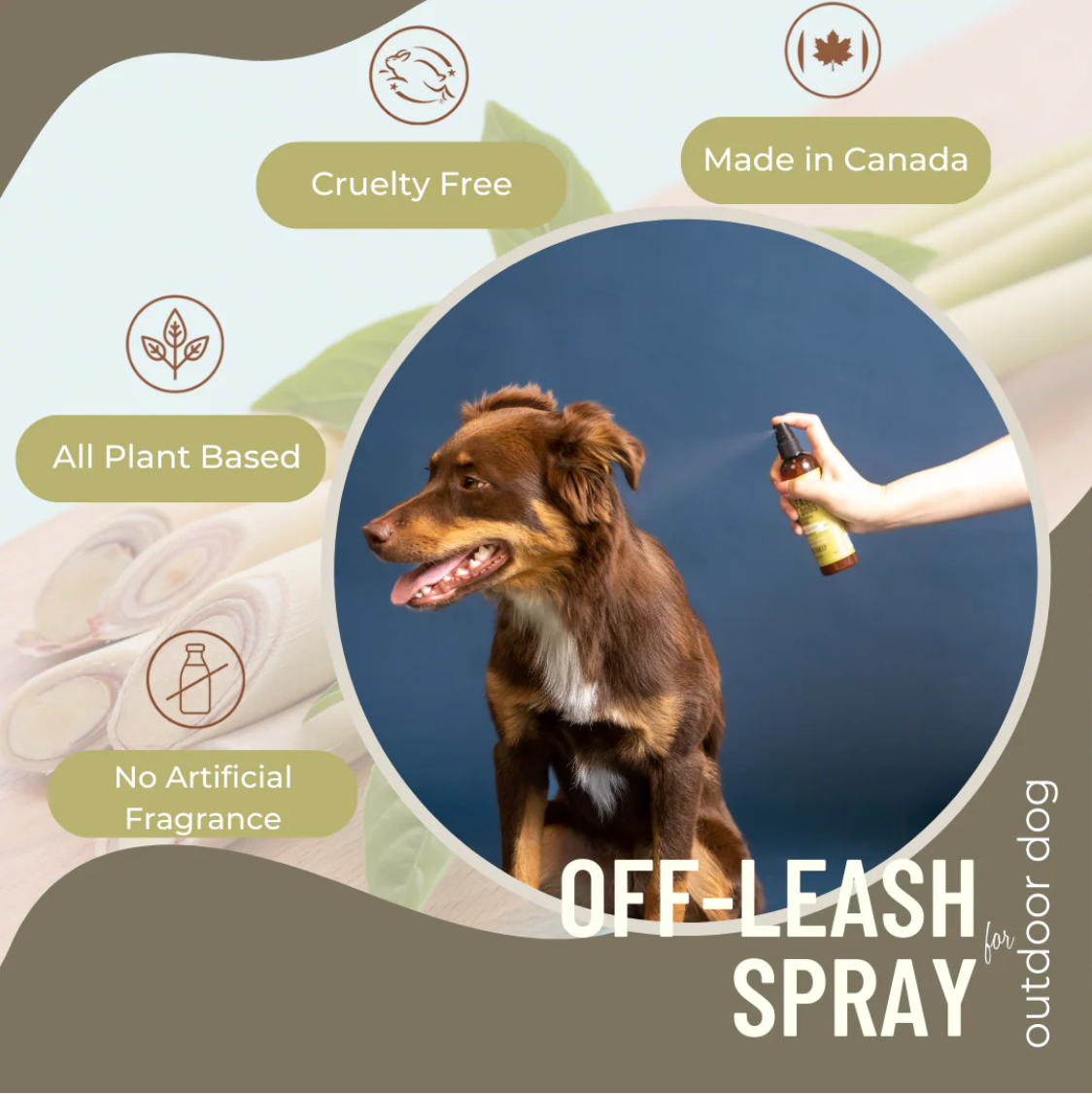 BLACK SHEEP ORGANICS LEMONGRASS & MINT OFF-LEASH DOG SPRAY