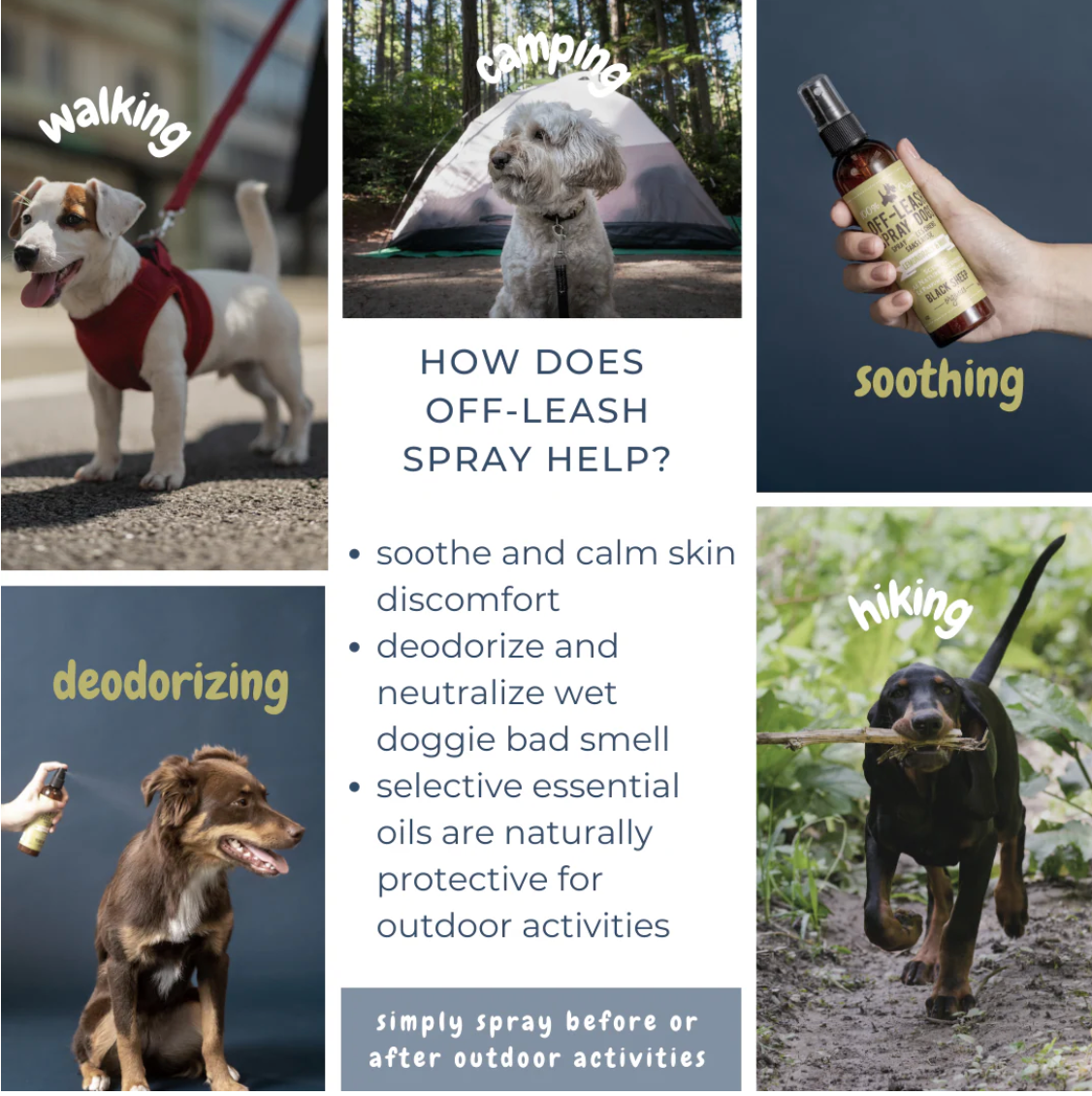 BLACK SHEEP ORGANICS LEMONGRASS & MINT OFF-LEASH DOG SPRAY